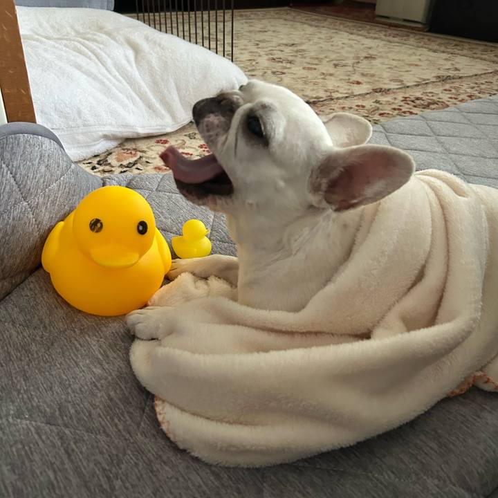 620d3393 e61e 49d6 9b3e 767129f07e59 1688195231366