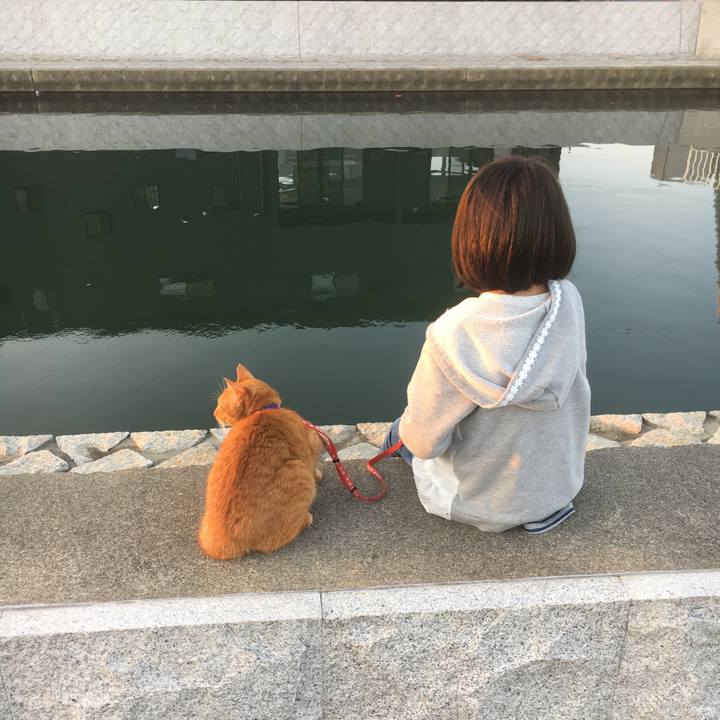 620d5710 2680 4e41 978a 4096f97b7fe4 1509869213278