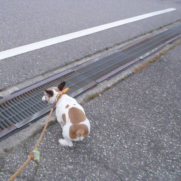 620d69d4 e75b 4826 b355 a4eeb0ae4106 1530701686804