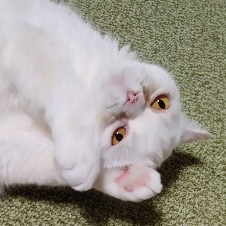 620d88a7 2a2c 4222 8102 f552ef216f41 1699097462769