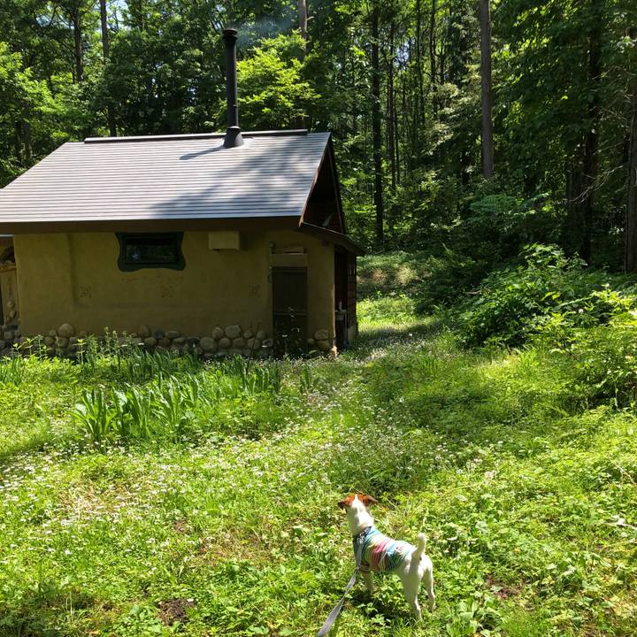 620db718 fad5 4213 aa2e 984fb2f363af 1528369029411