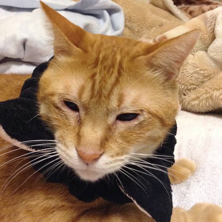 620dc5b1 a0ef 4229 b448 a189e8a1dc82 1570540981227