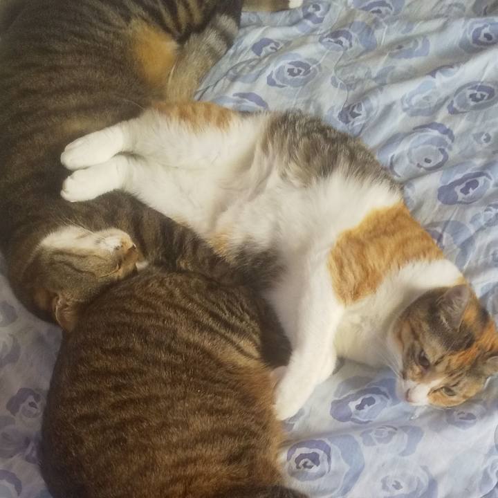 620dea7d ae8e 4e3e b734 ec5fbb30a50d 1757108950277