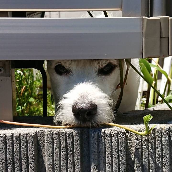 620df86f 7042 4d6b 9a7e 5452feaa0f57 1561072870698