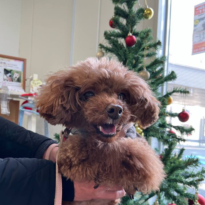 620e1863 76a3 44d7 82ca ae1423b625be 1640403096299