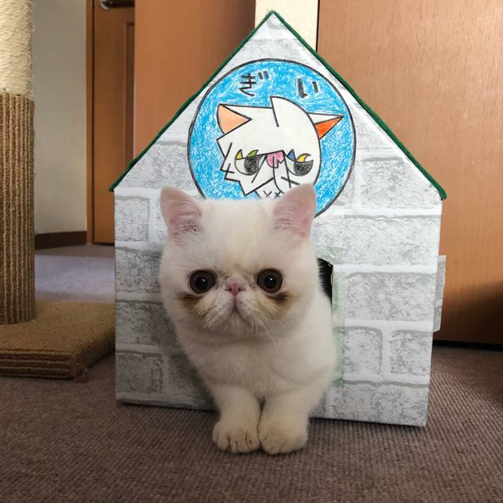 620e3ca5 2b95 45f2 83b4 e8a4949940b5 1552214113575