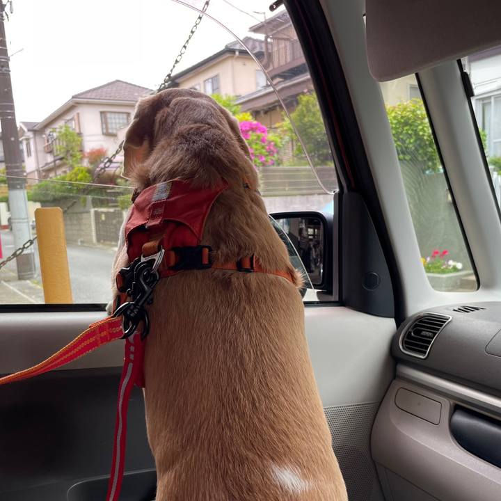 620e572f c9e4 4edb 841e 6fb719653db3 1651393570334