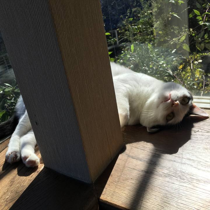 620e6246 80fd 4849 9504 0f3b2fb857d9 1540039116965