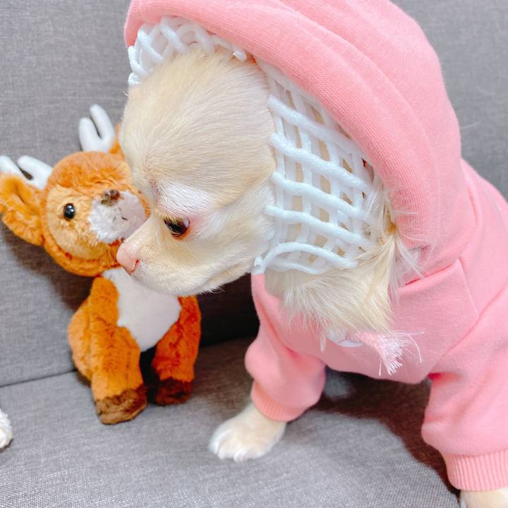 620e6282 1a4f 4527 b674 4715b99b7e7a 1646221595539