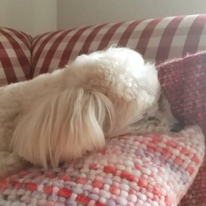 620e9cda 8290 4601 a0e6 25a3f5c15c47 1620454924556