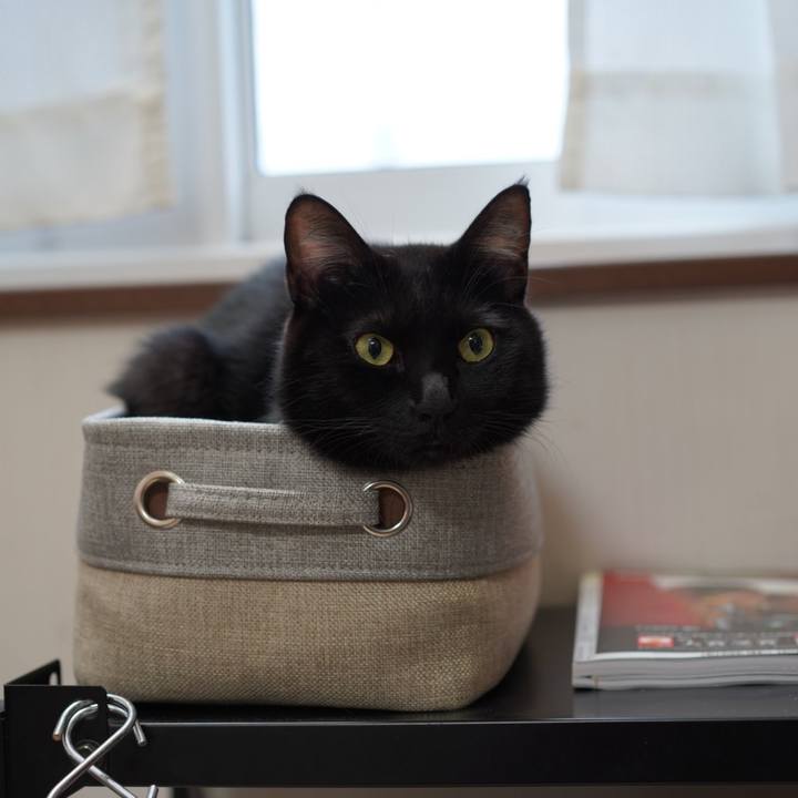 620eb88a d2c3 402b b364 0bf7a288fd60 1576540434457