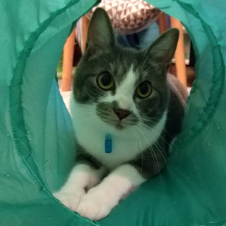 620ebcef 4674 4150 9342 7bf01777e7e0 1599820138977