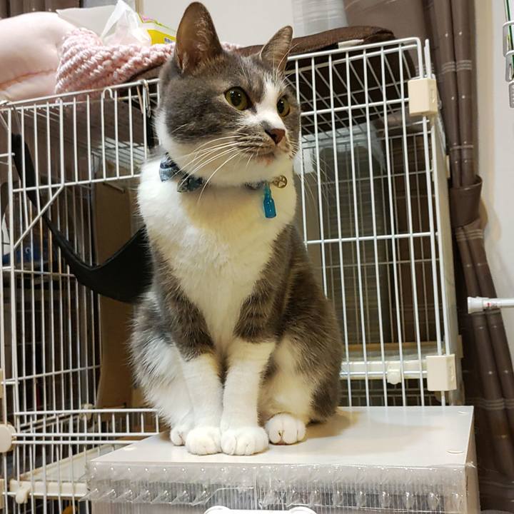 620ebf0b 724d 4095 b68a ccb9c29d58ea 1671194082501