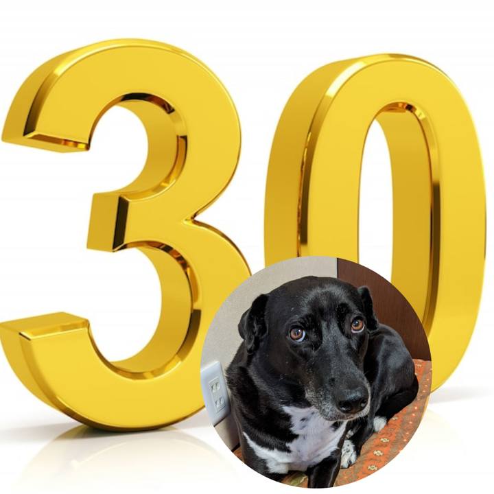 620f2d00 9ae1 4e77 8864 ab6b7423ab24 1663585211646