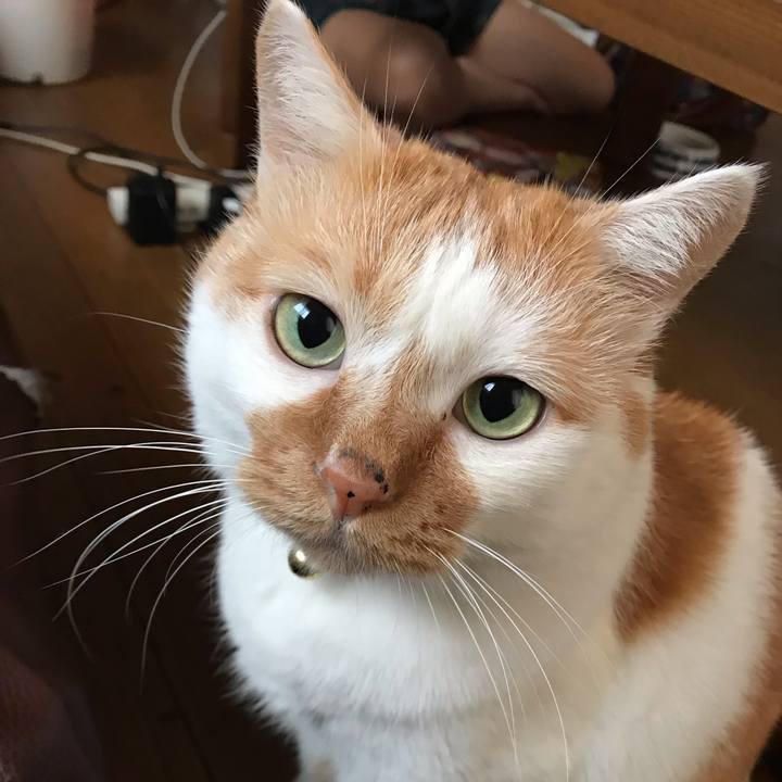 620f4383 5d82 4b93 9f72 e0bc22f60b74 1540328198675