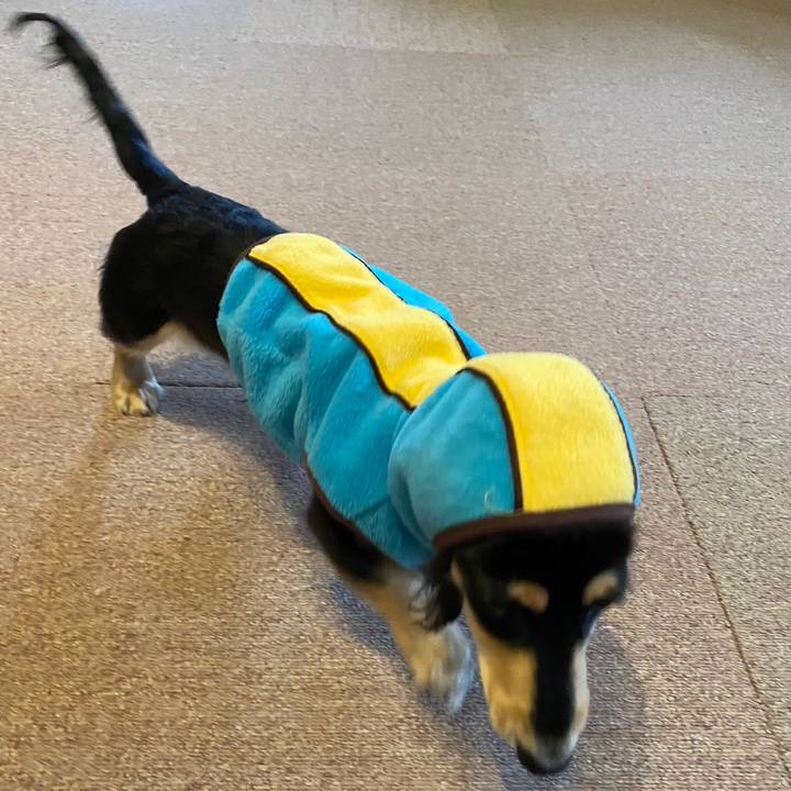 620f51ff f923 4d3e 9ad7 5b7e0309e4bf 1673746601719