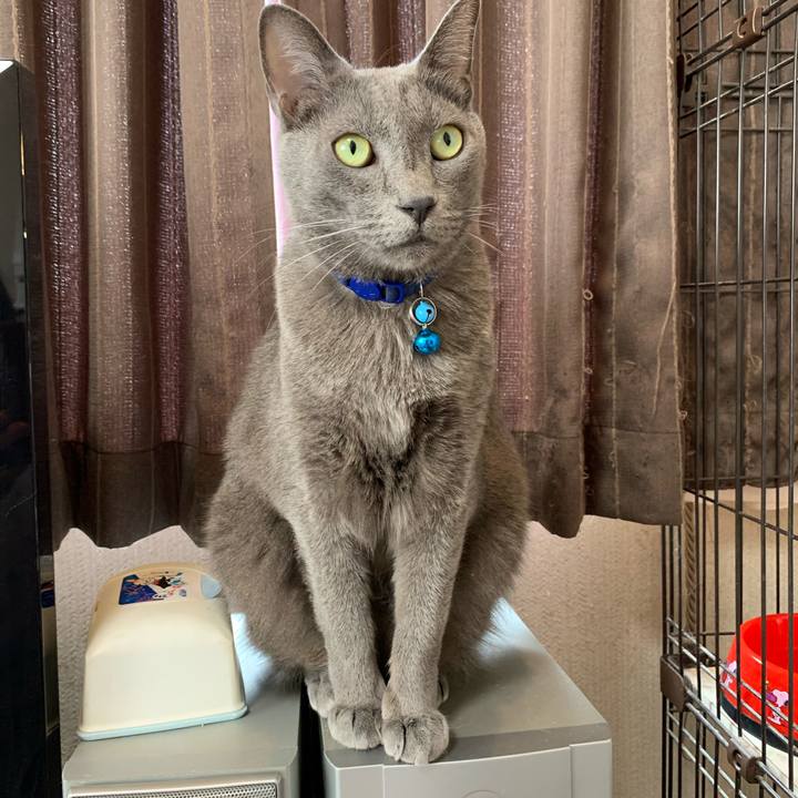 620f87cc 901a 4d54 b656 28bb3a087e12 1609213829125