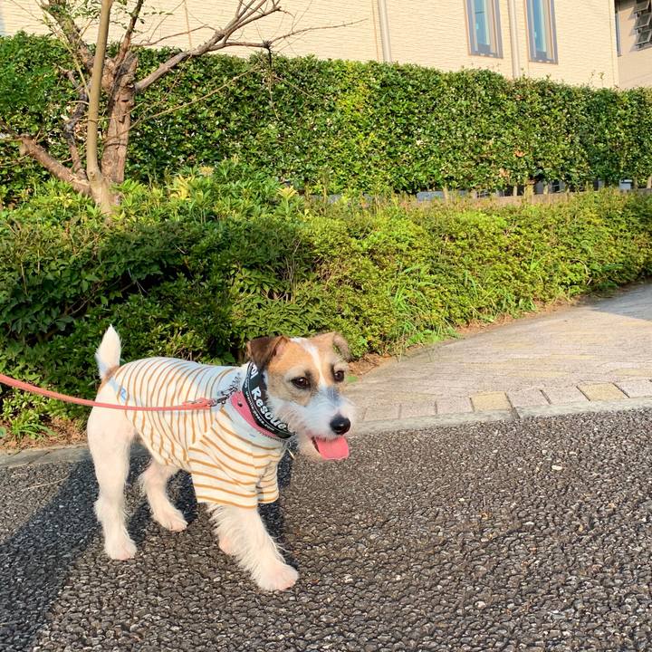 620f8f37 f8e2 425c acd6 764472a9d5ed 1596709823224