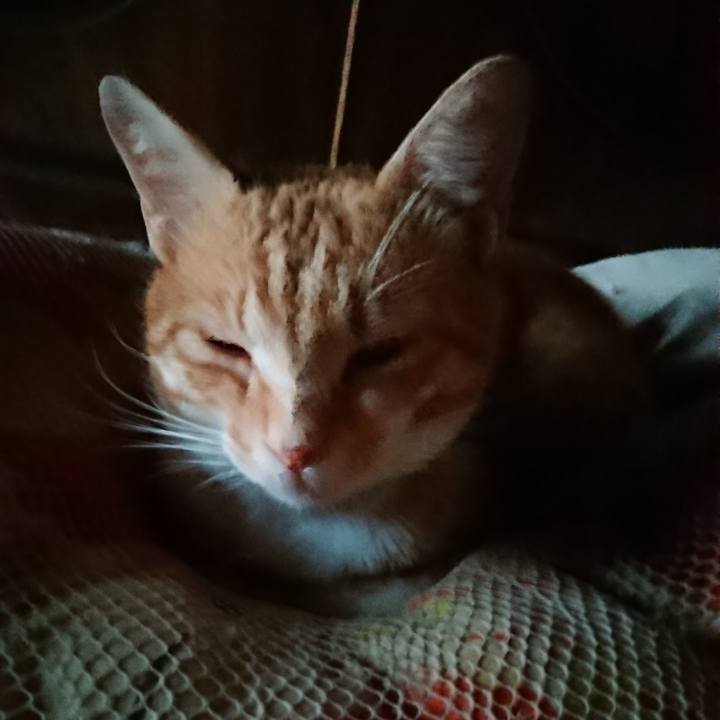 620f939c e162 4461 b7fd b53ec7a3d29e 1562096561916