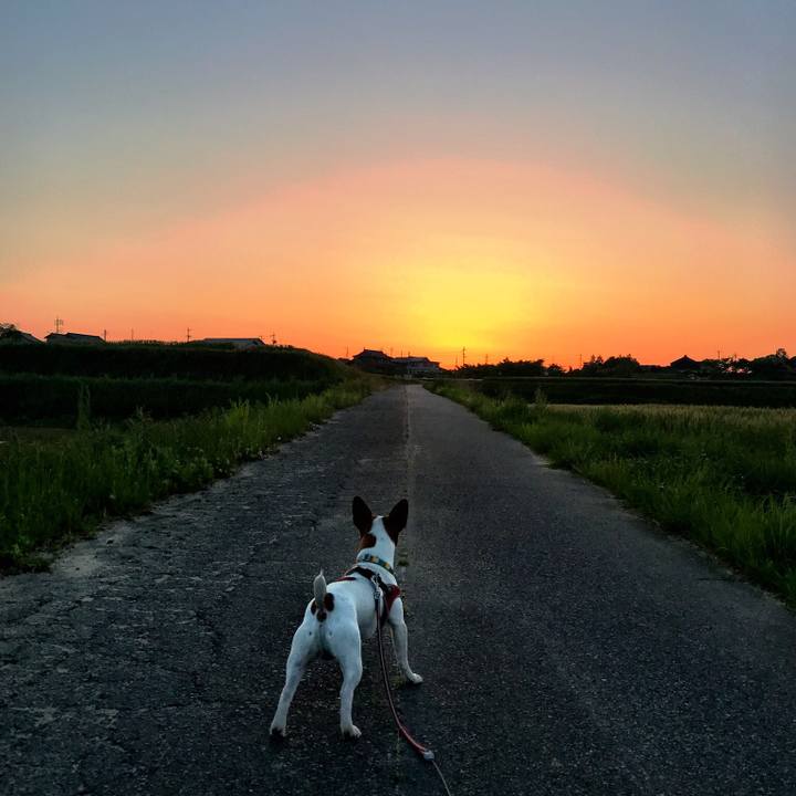 620fb995 1376 4a53 b856 040dd38a9c42 1524997048717