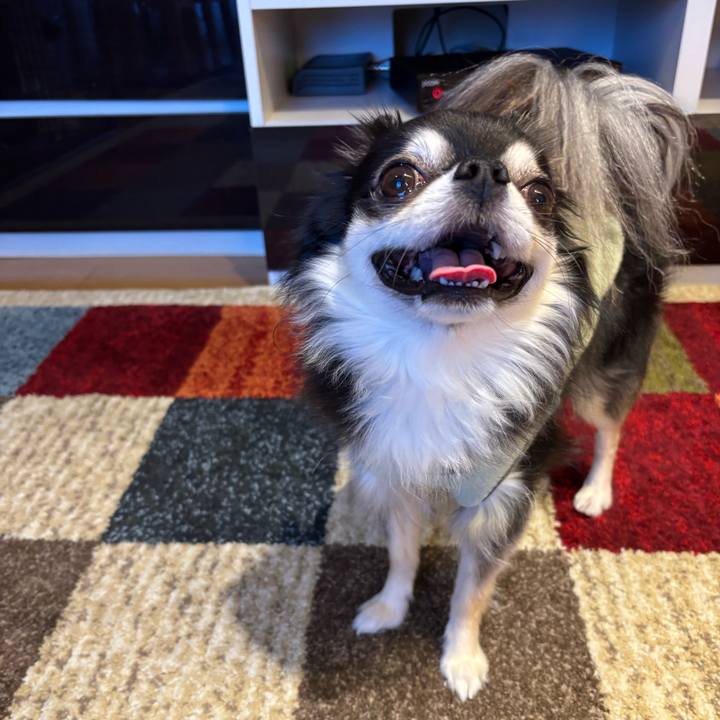 620fe7db 2728 4d08 8cde 608b2a714b89 1765043817233