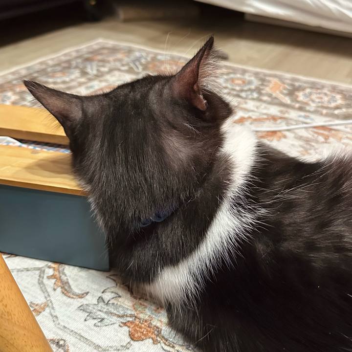 621004d1 416b 4a58 883f 15b9cc672b3c 1770800958460