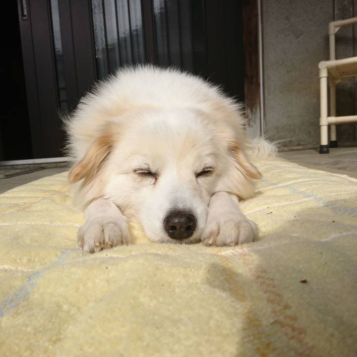 621016c2 7477 4769 ac3b 473b901c4e08 1550200704659