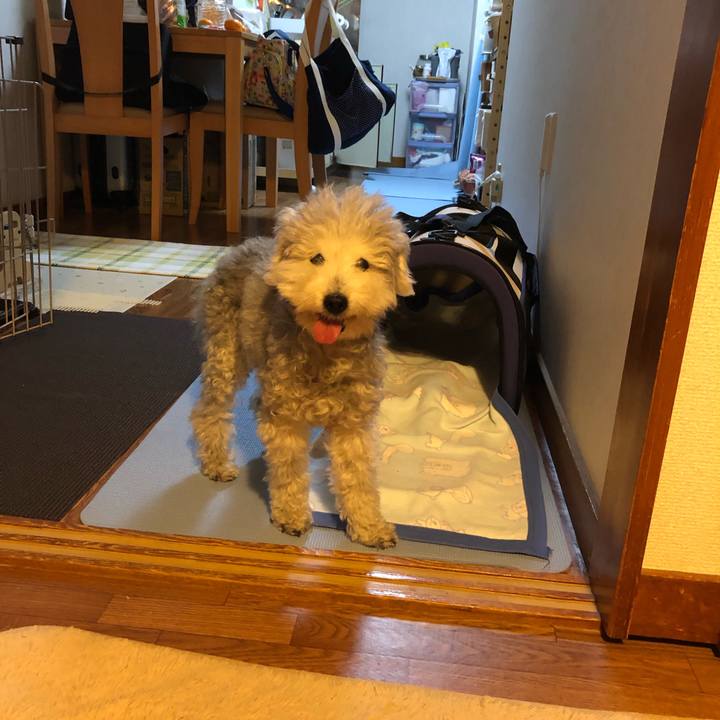 62102fb1 8f7a 476c 8b6f b4fbdcbee52d 1657625426310