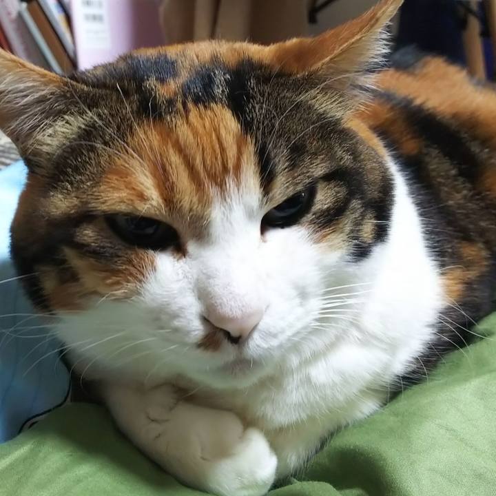 62103bdd 9286 4e14 b52c d3d88363bdb1 1581898402101