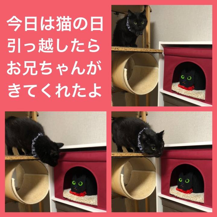 62106244 4bab 40aa 93e6 fa7a0cc15b5d 1582322113529