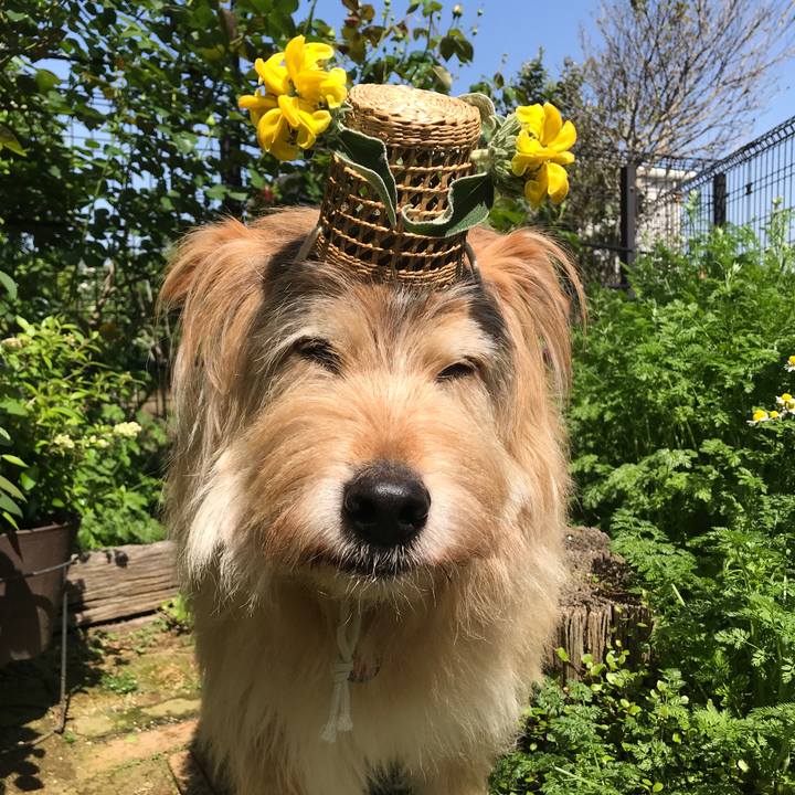 62109998 f91c 45d0 90a6 e8a24b9f57c1 1650861718534