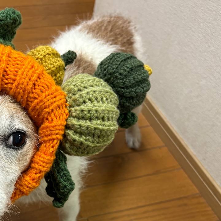 6210ad2c 94da 473a 8792 eeb5c5b71018 1761780089695