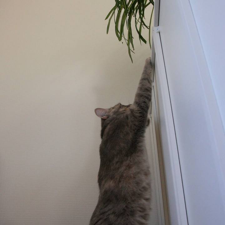 6210b5c1 ee8d 4a19 8b44 267314f9da52 1508493920793