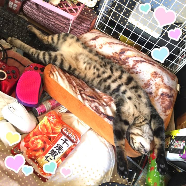 6210c150 5afa 4b92 b53e 7944b32fa8d1 1541304274240