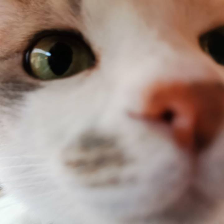 6210cf77 73f2 47c1 bfbd d34f796a50a4 1657346672904