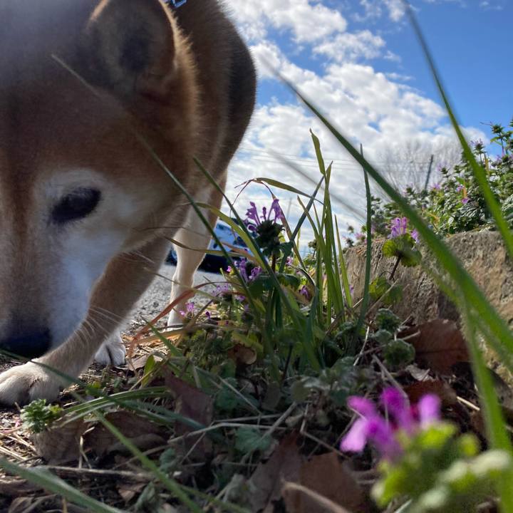 6210f33a 836e 42c2 8c10 caf05ce487ac 1676369389050