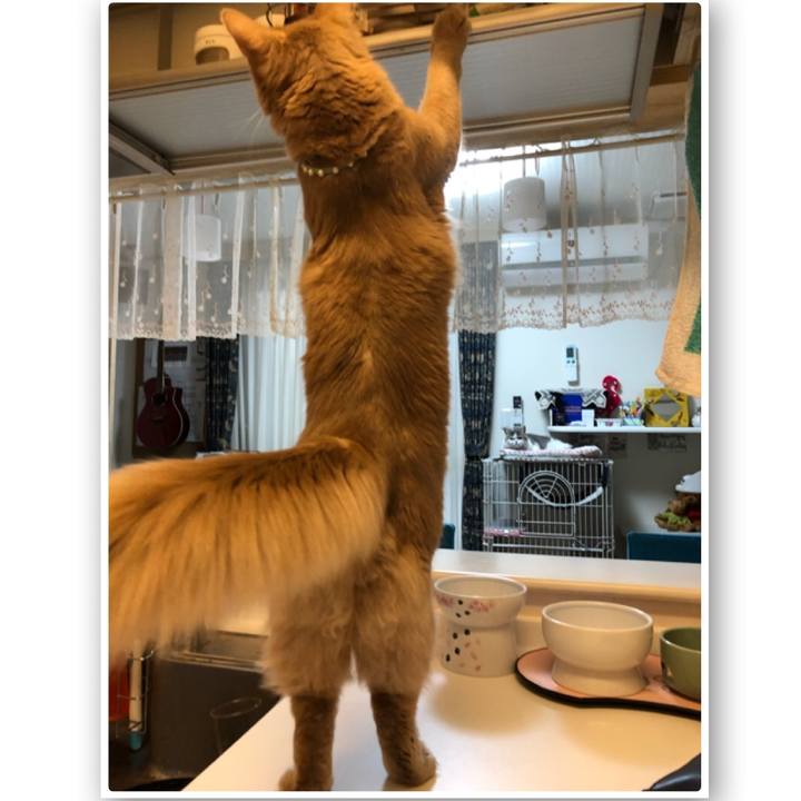 621158ef d768 4d2b 8d20 0bdc82b824bd 1556888442117