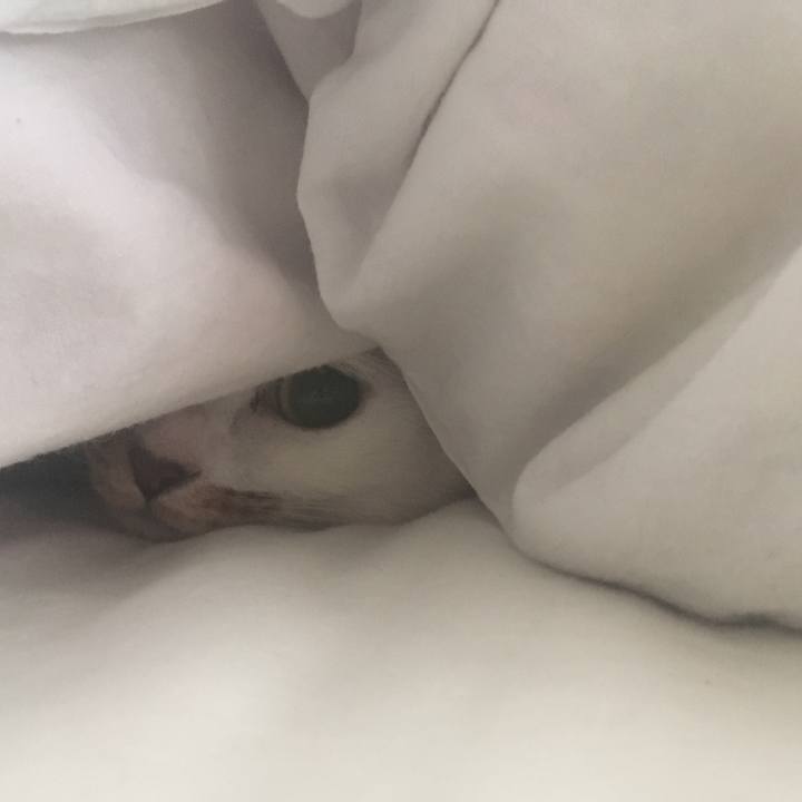 62115fc6 b300 46b1 b562 1b3eda1c959a 1540260086115