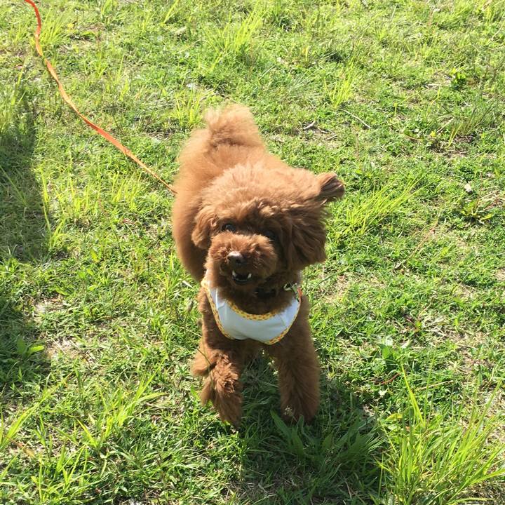 62118e10 0637 460e 988f 556cdab1df17 1525735521052