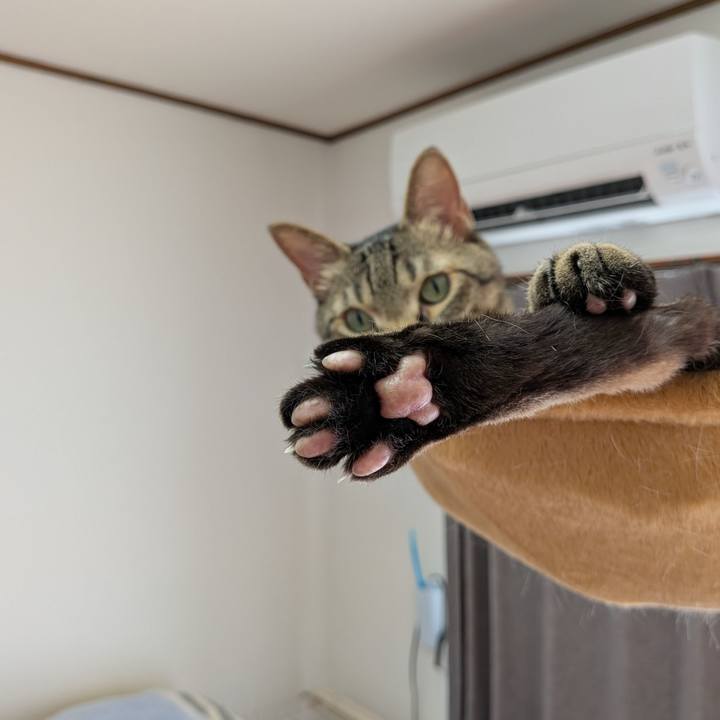 6211d34c 6c7b 4423 8947 ce480fa2d529 1752996923669