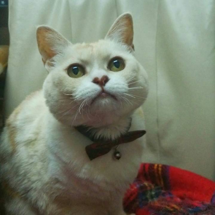 6211f182 40bb 440e 8044 0b6002347a7c 1546697778368