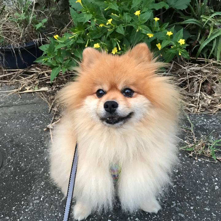 6212426d 6075 4cf8 bf36 5e877c665d5c 1534412225651