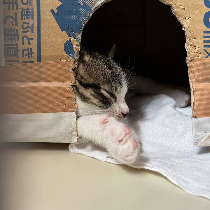 621249d9 35d9 47ba 8f5c 517ce175130a 1765606072406