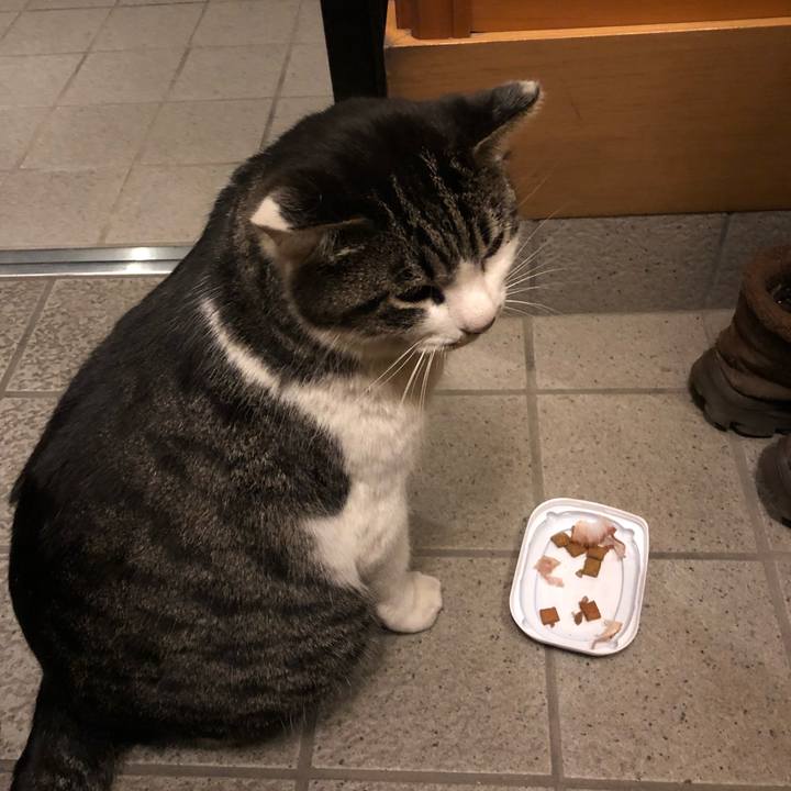 621264f1 d1b4 4d5e 8b2e e2fad8e77469 1521372355075