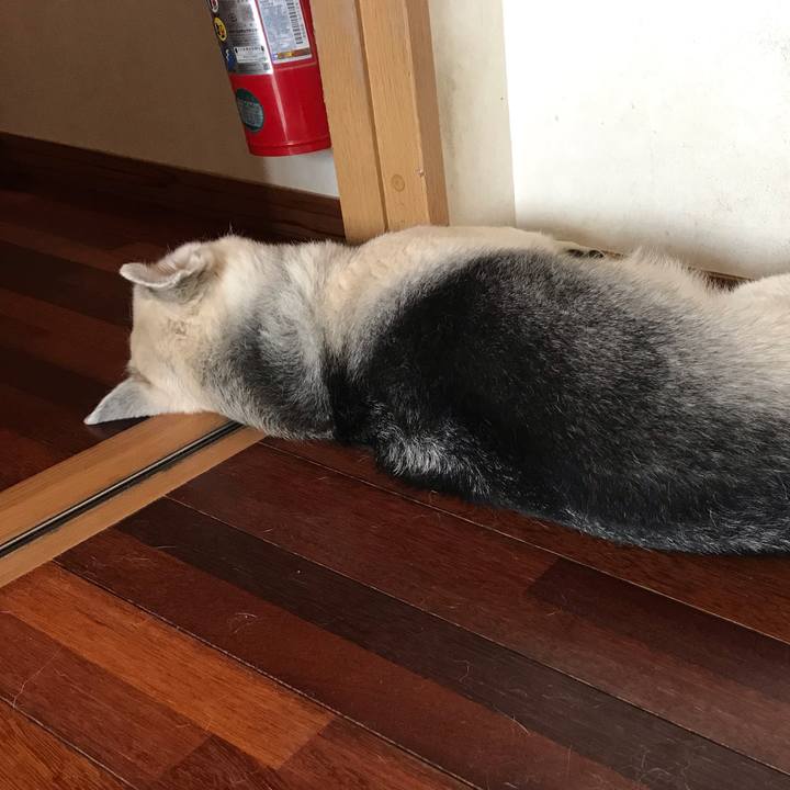 621279db 4f68 4db2 b9f2 90e244a05426 1589588689209