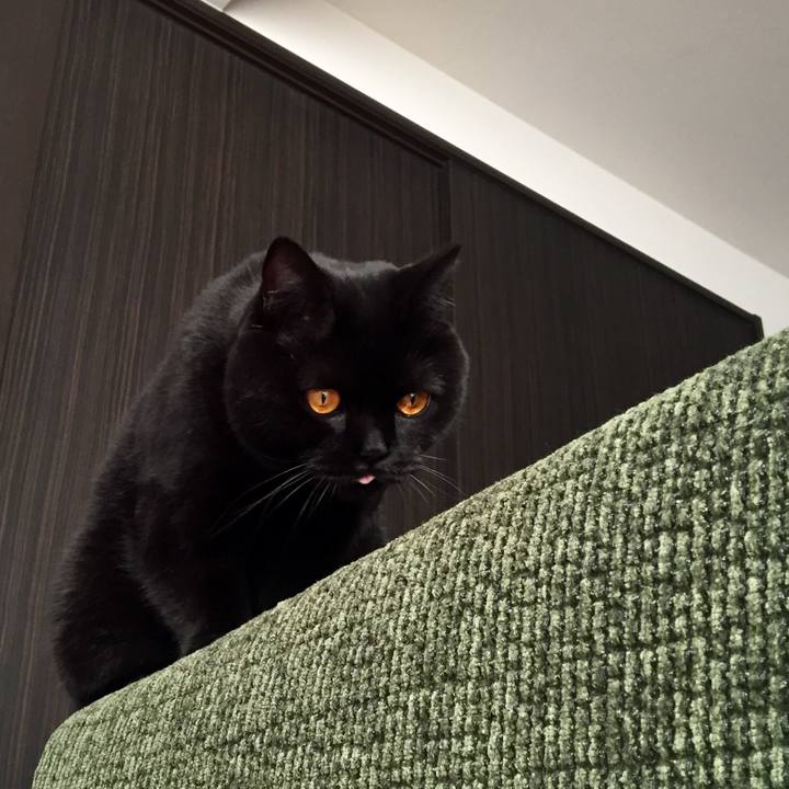 6212b8ef 42b7 4432 80b1 2b14de6ec82b 1544360162688