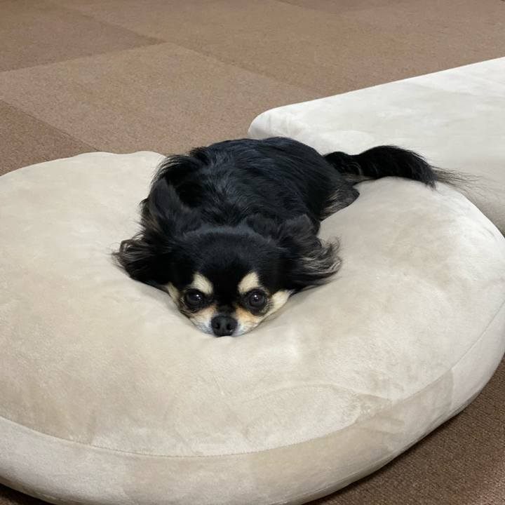 6212cd42 dc84 4861 aac9 6f3908c7503f 1651191396102