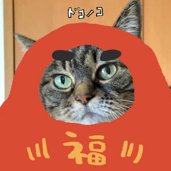 621314e3 1eb1 4225 be0d f981b8e560f8 1771833767104