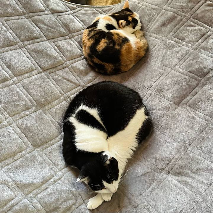 62135bda 2c0c 4035 9aa3 72c60f58a82b 1701222397567