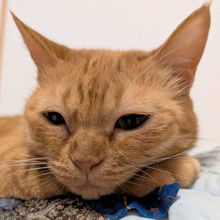 62136898 9970 4720 99a2 250d56955be1 1759538373045